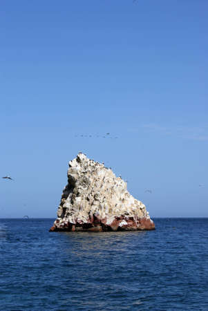 rock in th blue ocean sky and  birdの写真素材