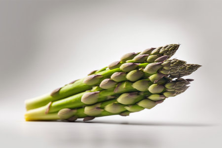 Bunch of fresh green asparagus on a white background.の素材