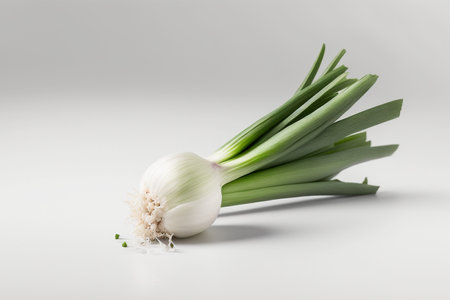 Fresh spring onion on a white background. Shallow depth of field.の素材