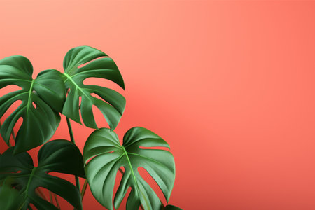 Tropical monstera leaves on a red background with copy spaceの素材