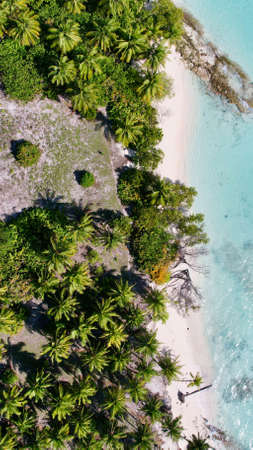Beach in the bird's eye viewの写真素材