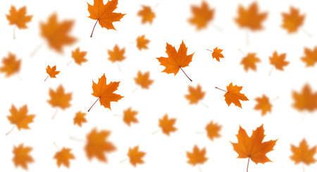 A beautiful artistic arrangement featuring a plethora of vibrant orange and yellow maple leaves cascading against a clean white backdrop The intentional blurring of some leaves creates a sense of depth and movement as if they are gently falling from a tree This evocative image captures the essence of autumn symbolizing change transition and the beauty of natures cycles It is a versatile image that can be used for a variety of creative projects from website design and social media graphics to print materials and marketing campaigns The color scheme is perfect for capturing the warmth and comfort of fall seasonの素材