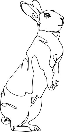Vector line art of rabbitのイラスト素材
