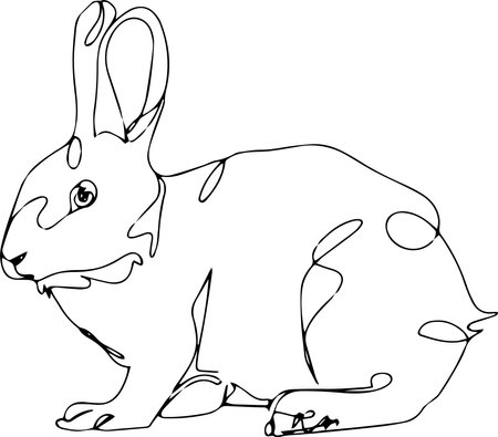 Vector line art of rabbitのイラスト素材