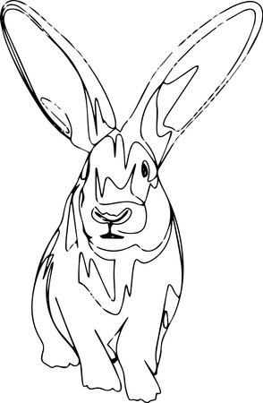 Vector line art of rabbitのイラスト素材