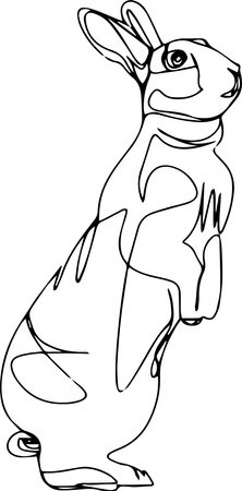 Vector line art of rabbitのイラスト素材