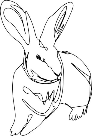 Vector line art of rabbitのイラスト素材