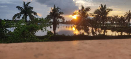 Panoramic view of the river and coconut trees at sunset.の写真素材