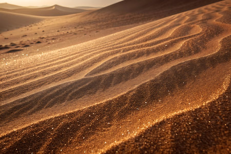 Sand dunes in the Sahara desert, Morocco. Africa. Landscape.の素材