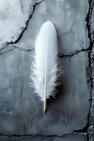 Elegant White Feather on Textured Surface â Minimalist Nature Photographyの素材