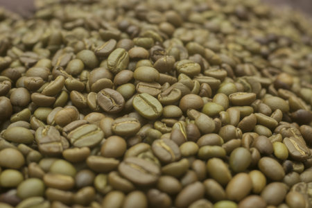 A close-up view of a large pile of raw, unroasted green coffee beans. The beans are oval-shaped with a distinct central groove and vary in shades of light green and tan. The image has a shallow depth of field, with the foreground beans in sharp focus and the background becoming progressively blurred.の素材