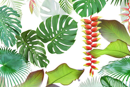 Exotic Tropical Leaves and Flowers Isolated on White Background Natural Pattern Design with Clipping Pathの写真素材