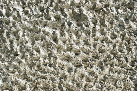 Rough Surface Concrete Texture