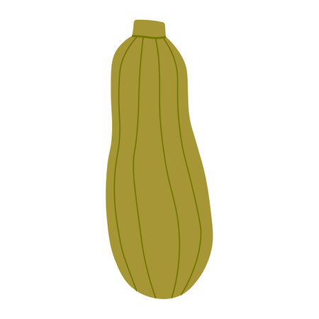 Zucchini colored hand drawn isolated icon, Scalable print ready vector illustration in trendy flat style design.のイラスト素材