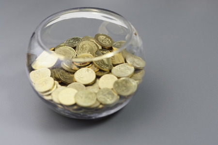 Gold coins inside of the bowl - Financial Concept