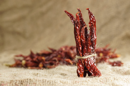 Hot dry Chili pepper tied up with juteの写真素材