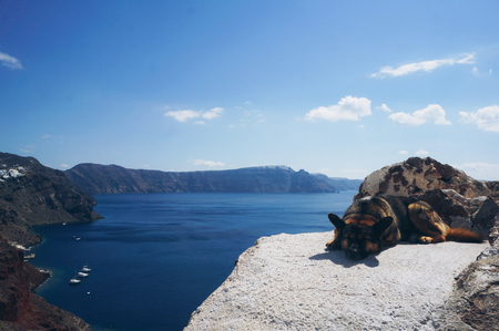 White architecture of Oia village on Santorini island, Greeceの写真素材