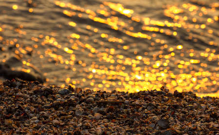 Golden summer sunset by the sea.の写真素材