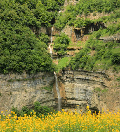Azerbaijan. Beautiful meadow of yellow flowers with a waterfall.の写真素材
