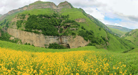 Azerbaijan. Beautiful meadow of yellow flowers with a waterfall.の写真素材