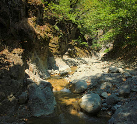 Beautiful mountain gorge with a river. In the spring.