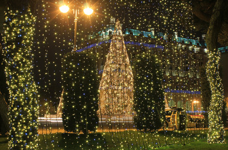 Azerbaijan. 2018 year. Beautiful New Year tree in Baku city. On the Azneft Square. Winter.のeditorial素材
