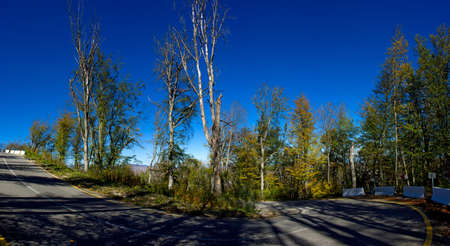 Beautiful sharp turn of the road in the autumn forest.