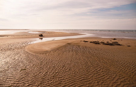 Beautiful sandy coast of the Caspian Sea.の写真素材