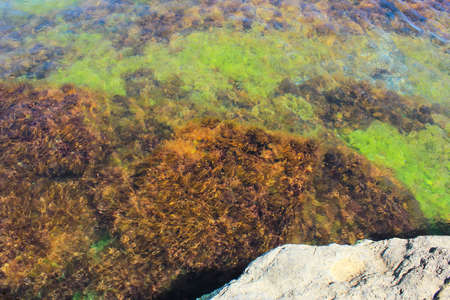 Rocky coast of the Caspian Sea. Mardakan. Azerbaijan.