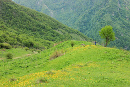 Beautiful green fields in the mountains. The village of Gryzdakhnya. Guba region. Azerbaijan.