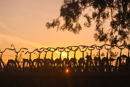 Bicycles standing in a row at sunrise. Baku. Azerbaijan.のeditorial素材