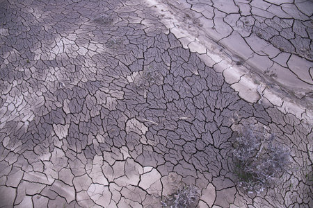 Beautiful texture of cracks in a mud volcano.