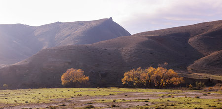 Beautiful autumn yellow trees in the Khizi mountains. Azerbaijan.