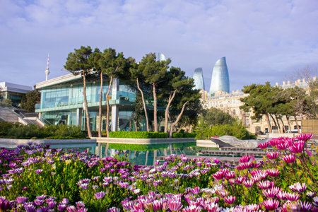 Baku. Azerbaijan. 03.24.2020 Beautiful flowers are planted in venice.のeditorial素材