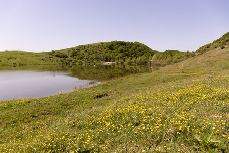 Beautiful lake with yellow flowers. Chukhuryurd. Azerbaijan.