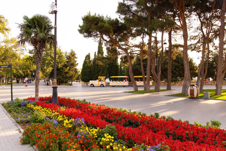 Baku. Azerbaijan. 16/09/2021. Beautiful flowers of different colors on the city boulevard.のeditorial素材