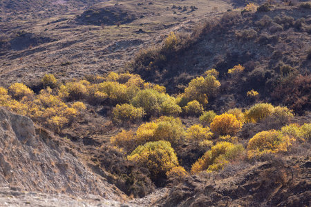 Autumn yellow forest in high mountains. Ismayilli region. Azerbaijan.