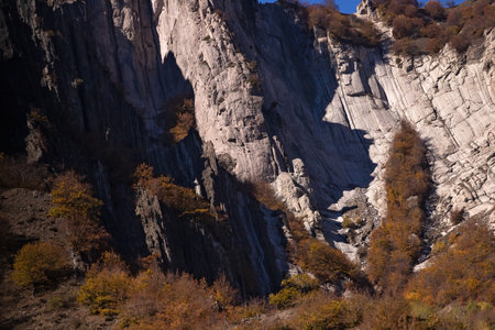 Autumn yellow forest in high mountains.