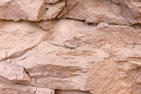 The top of the mountain is covered with green forest.の写真素材