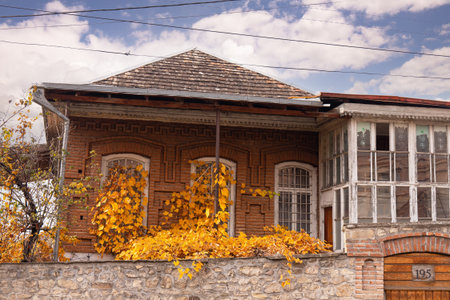 Sheki. Azerbaijan. 11.25.2022. Beautiful garden with yellow leaves in the city of Sheki.のeditorial素材