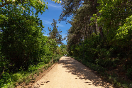 Istanbul. Turkiye. 05.12.2025. Beautiful forest park with paths for people. Derbent Park.のeditorial素材