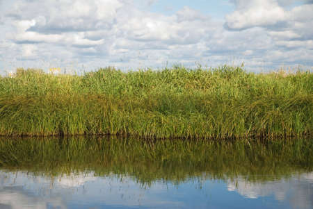 Green meadow and timber yardの写真素材