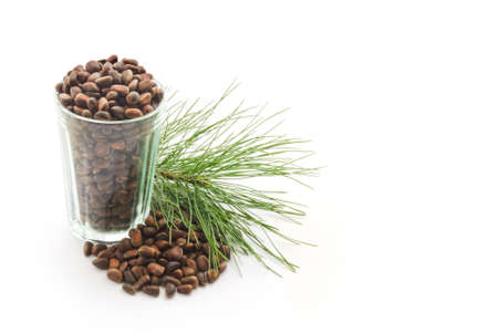 Glass with cedar nutlets on a white backgroundの写真素材