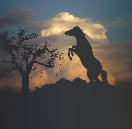 dark landscape with wild horse and tree at sunsetの写真素材