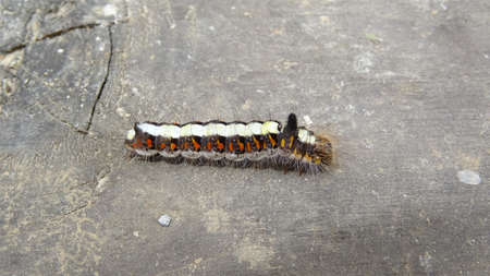Spoon with reflection of golden glitters. Blurred background. It can be used for posters, wallpapers, prints etc.の写真素材