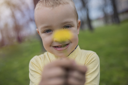 Cute little boy having fun in park. Active sport leisure for kids on playground. Little boy with blue eyes in yellow shirt playing on playground.の写真素材