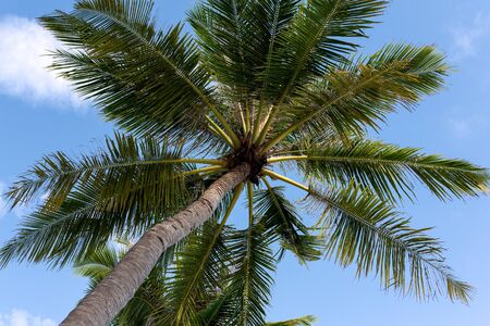 Luxury travel destination background for summer holiday and vacation concept. Amazing exotic Maldive island. Luxury resort villas on water.の写真素材