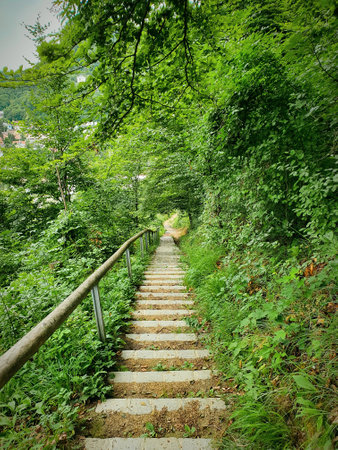 Stairs in forest in Austria.の写真素材