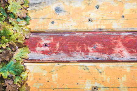 Old wood colorful background with oak leaves on the side. Yellow and red old weathered wooden boards. Space for copy text.の写真素材