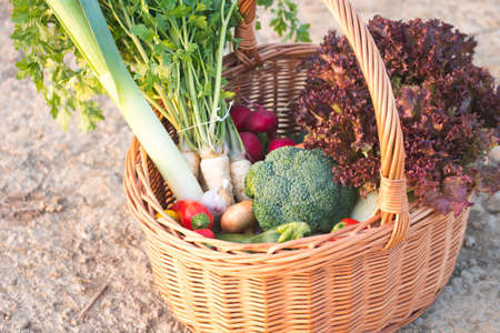 Fresh vegetables from own garden in wicker basket. Detail on harvest just collected. Local market support concept.の写真素材